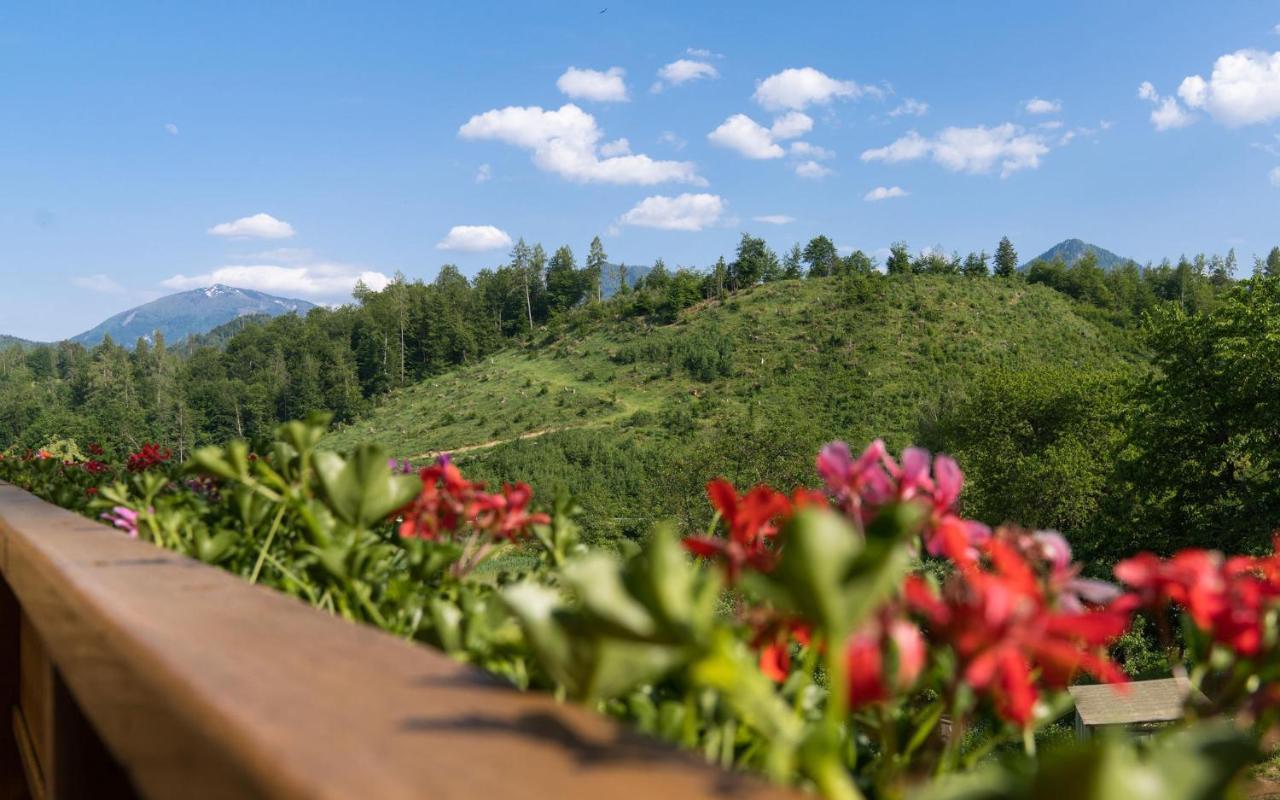 B&B Goesselsdorfer Seeblick Sittersdorf 외부 사진